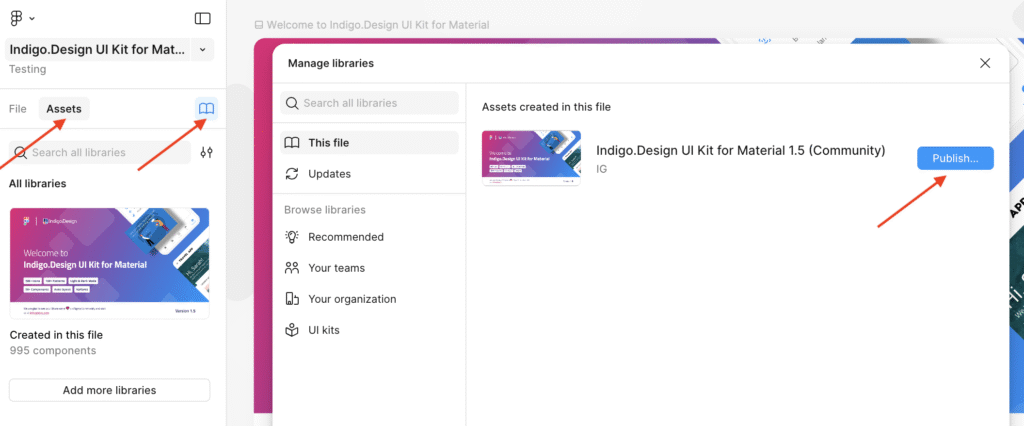 Publishing the library and using its assets